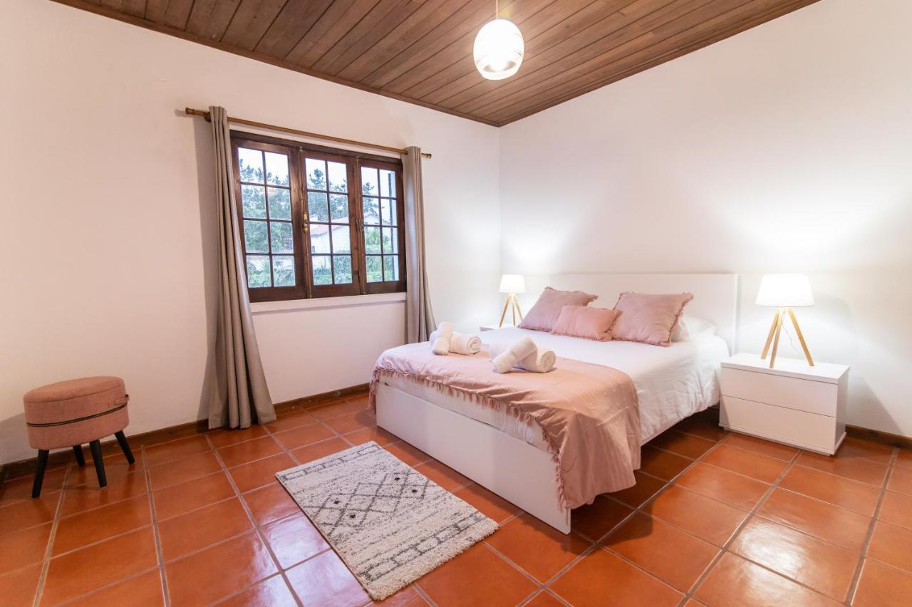 Casa Do Pinheiro With Shared Swimming Pool Villa Sao Vicente Ferreira Exterior photo